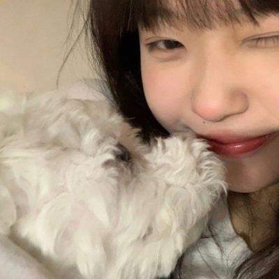 炫斗无双破解版下载